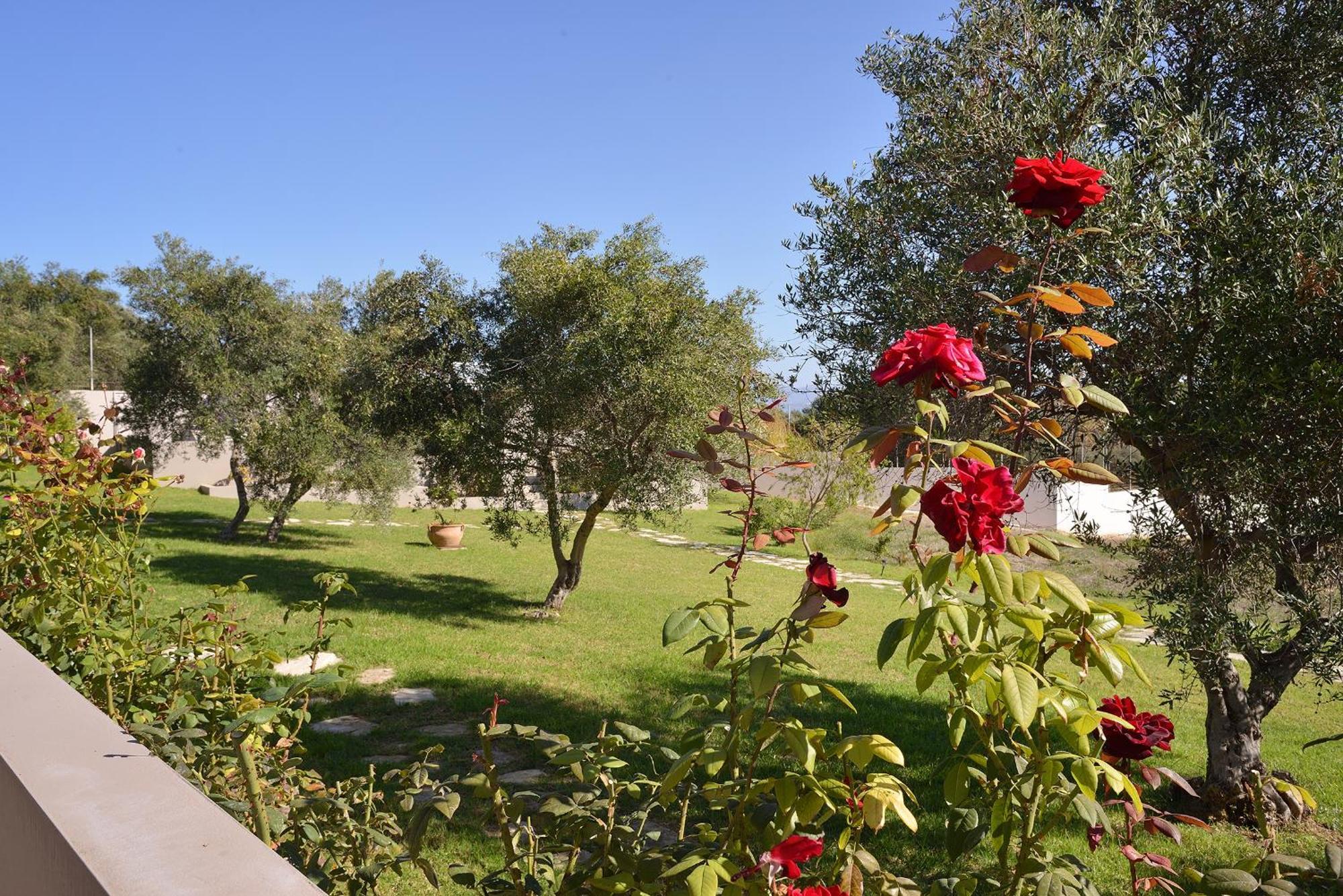 Alexandra'S Garden Houses Stalós Dış mekan fotoğraf